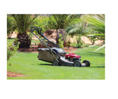 Mowing and Garden care- part time in Noosa area