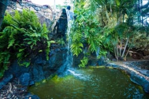 Lifestyle with Income - Airlie Beach - North Qld - Income Range 50 - 100k Plus