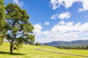 72 ACRES KANGAROO VALLEY APPROVED TO BUILD 26 MORE HOUSES