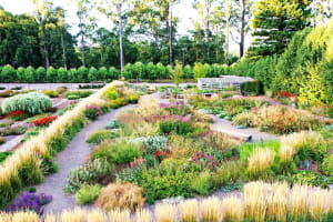 Wholesale & Retail Nursery | Established Perennials Nursery Opportunity | VIC