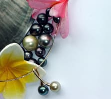 Discover a Hidden Gem