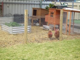 NOT JUST A BUSINESS BUT A CASUAL WAY OF LIFE! -  INCLUDES RESIDENCE & BUSINESS!