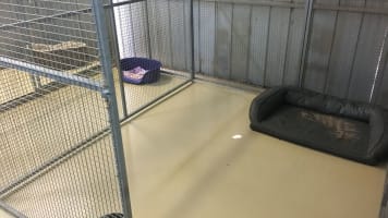Licensed 30-dog facility with established 17-year trading history  within 90 minutes of Melbourne.
