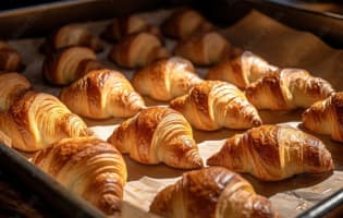 Award-Winning Artisan Bakery and  Cafe Group - Brisbane, QLD