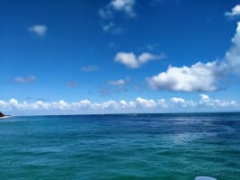 Kvynt0xvou8v6wuu52cj