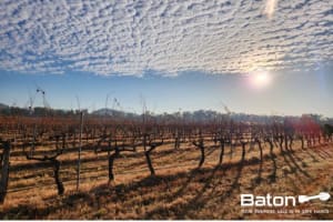 Kwwovtgrlultuldk9nxu