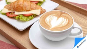 Corner Cafe Strong Foot Traffic High Dense Area Great Local Trade Zetland Sydney