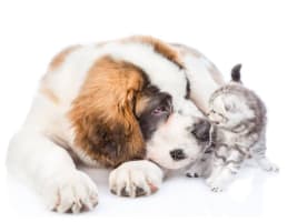 L3pal2mbrmw45l5uybuk