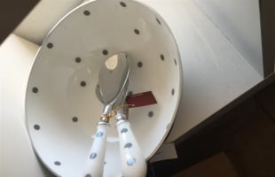 FLORIST  GIFTS  PLANTS & POTS - ONLY ONE IN BEACONSFIELD -