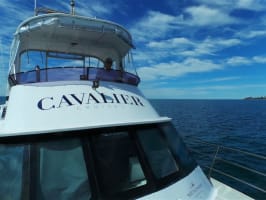 Exclusive Marine Tourism Business