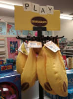 Destination Educational Toy Retailer | Orange NSW