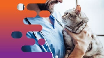 36686 Profitable Mobile Veterinary Business - Low Overheads