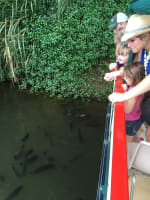 The closest Wet Tropics World Heritage river-based experience to Cairns