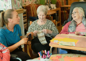 Registered Aged Care NDIS Provider (Franchise), 2 Established NSW Territories, $3.6M revenue