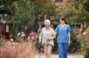 Well Established NDIS/Disability Registered and In Home Care Services Business #386
