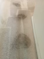 URGENT SALE- Profitable Owner-Operator Carpet Cleaning Business Growth Potential