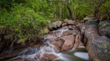 Two for the price of One looking for the Ultimate Sea Change!