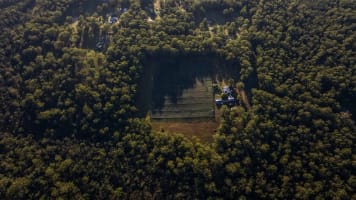 Blueberry Greens Award-Winning Farm + Freehold Lifestyle Property