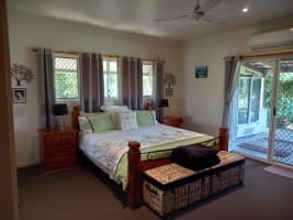 NATURES ENGINEERING WONDER PLANT