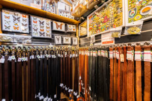 Bungendore Leather: A Tourist Hotspot 30mins From Canberra