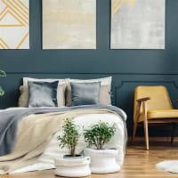 Limfzohptecdtsjbixwh