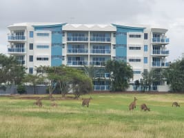 Beachside Holiday Management Rights in Bargara - ID 9186