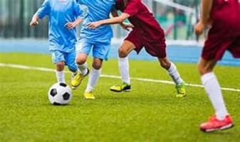 Niche Market Sports Product, Apparel and Equipment Outlet and National Online Webstore #411
