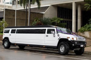 Ljzs8kd9mwp5dtduxq2m