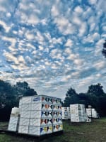 Asset-Based Small Scale Commercial Beekeeping Opportunity for Sale