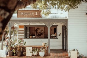 Lmzca8ocotw8kvmkxb1y