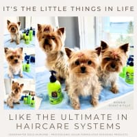 Lnmhsmb2piltklx2upr1