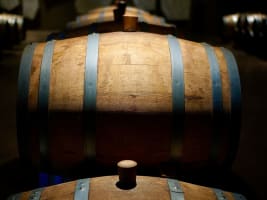 Premium Inner Sydney Distillery/Brewery