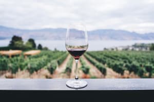 Established Winery & Vineyard Business on 20 Acres in Emerald VIC – Freehold Included [2604222]