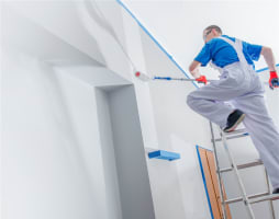 Commercial Painting Business for Sale - 5882