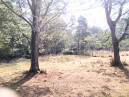 Rare Secluded Private Retreat Tyne River Alternative Life Style Self Sufficiency 5Star Home $850K
