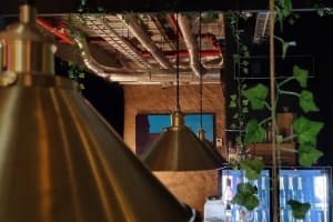 Hydrant Bar - A Charming Little Bar