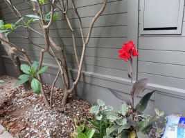 Established Property Maintenance Business based in the Eastern Suburbs of Sydney