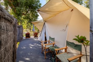 High Motivation, Infinite Potential: Stargazers Retreat is Selling