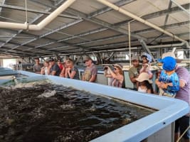 Sustainable Aquaculture & Food Hub - Port Stephens