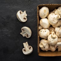 Indoor Mushroom Farm - Booming Industry