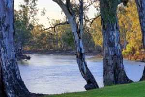 UNDER OFFER - Big4 Barham