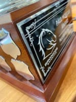 M6uff6gpva4gfvddgvdo