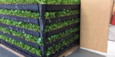 Mb7xeoonve7ktfpuhzw9