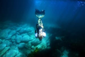 Unique business opportunity for a mermaid at heart