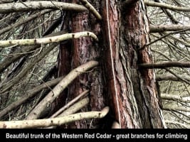 HERITAGE SEED BANK and OPEN GARDEN