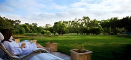 2 Houses on 5 acres. Luxury Home plus 5rooms Cottage. Room for extended Family