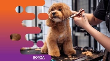 36275 - Mobile Dog Washing Business - Perfect for 1st time business owner.