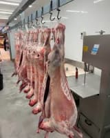 BUTCHER (MELB WEST SUBURBS)