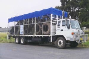 TRANSPORT BUSINESS WITH 2 TRUCKS - REGULAR RUNS AND CLIENTELE