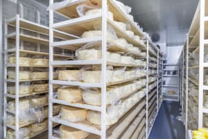 Artisan Cheese Factory & Café Business For Sale – Granite Belt